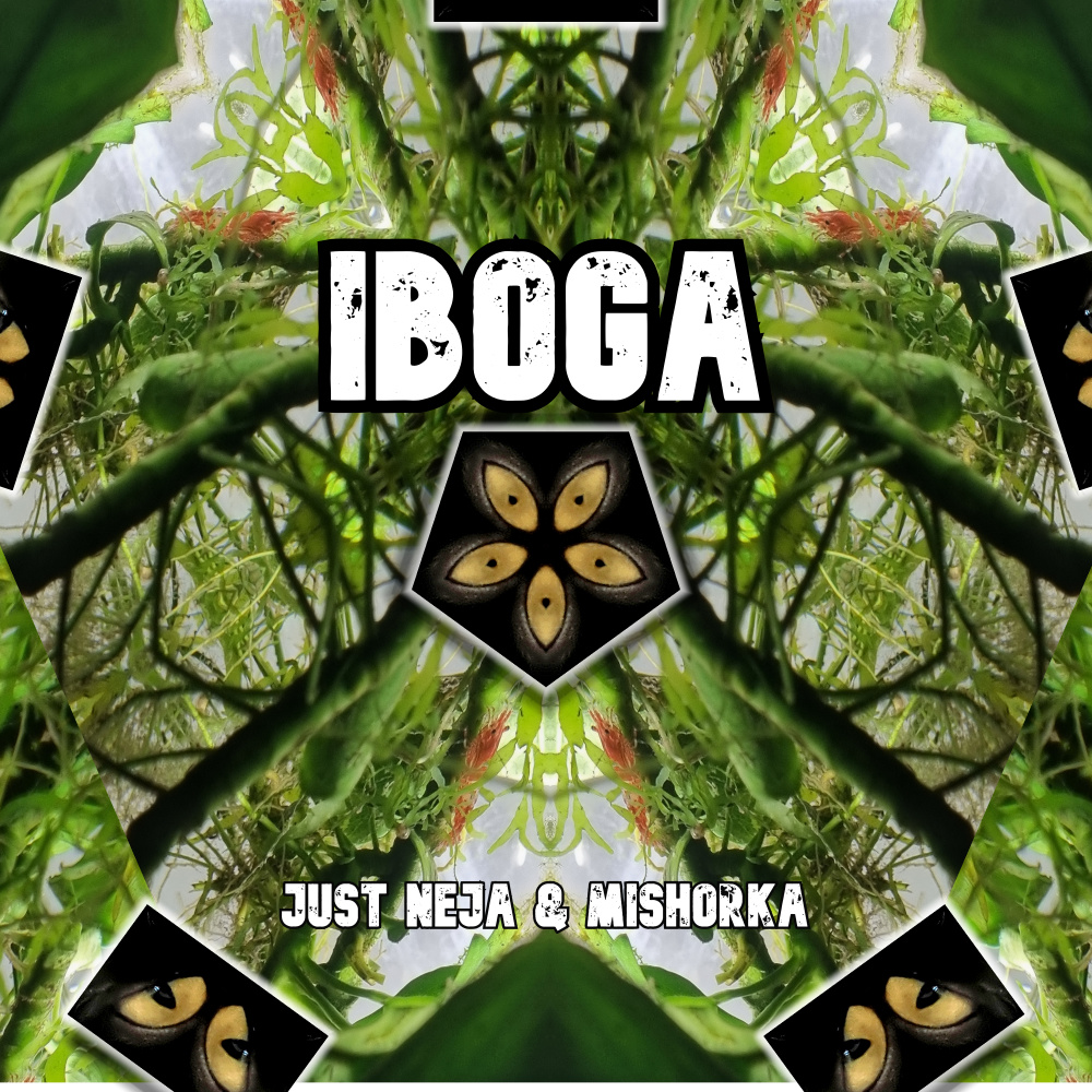 Iboga