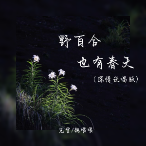 Listen to 野百合也有春天 (深情说唱版) song with lyrics from 克里
