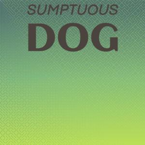 Listen to Sumptuous Dog song with lyrics from Danie Stoan