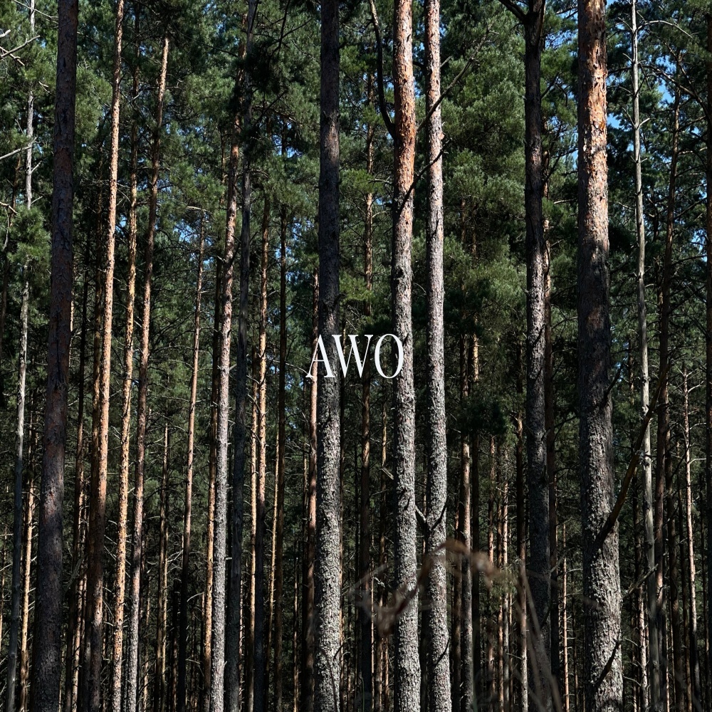 Awo