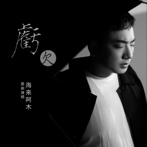 Listen to 亏欠 (DJ沈念版) song with lyrics from 海来阿木
