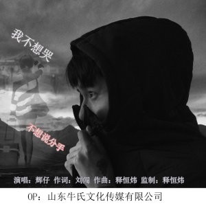 Listen to 我不想哭不想说分手（DJ） (伴奏) song with lyrics from 辉仔