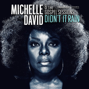 Album Didn't It Rain from Michelle David