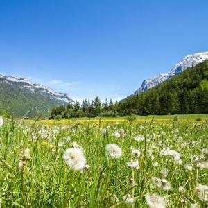 Dengarkan Piano Sedih lagu dari Nopa Sobarna dengan lirik