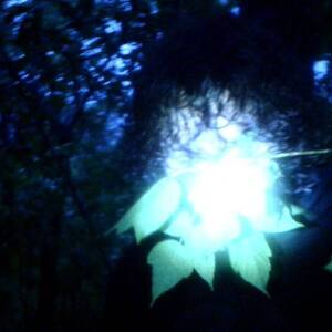 Listen to невозможно song with lyrics from Tarab
