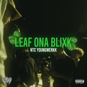 ดาวน์โหลดและฟังเพลง Leaf Ona Blixk (Explicit) พร้อมเนื้อเพลงจาก NTC Youngwerkk
