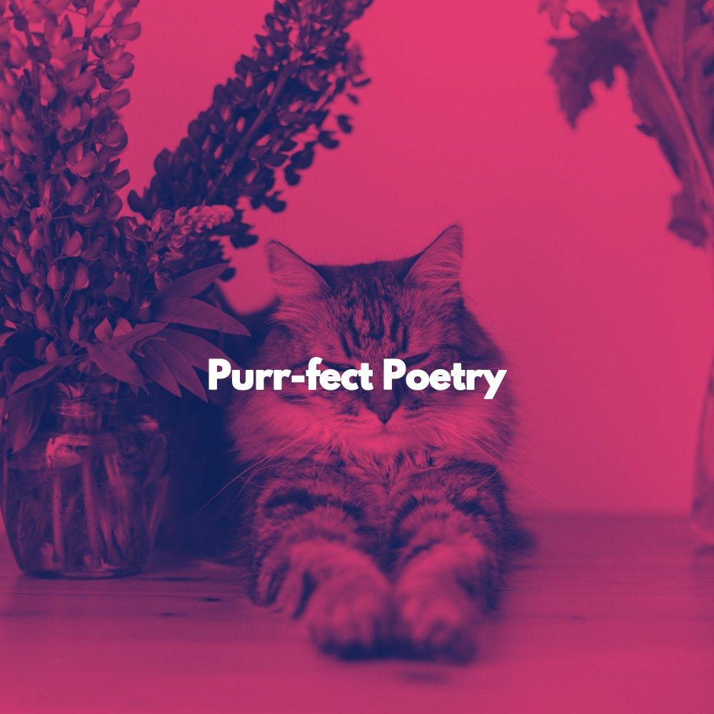 Quintet Jazz Soundtrack for Sleeping Kittens