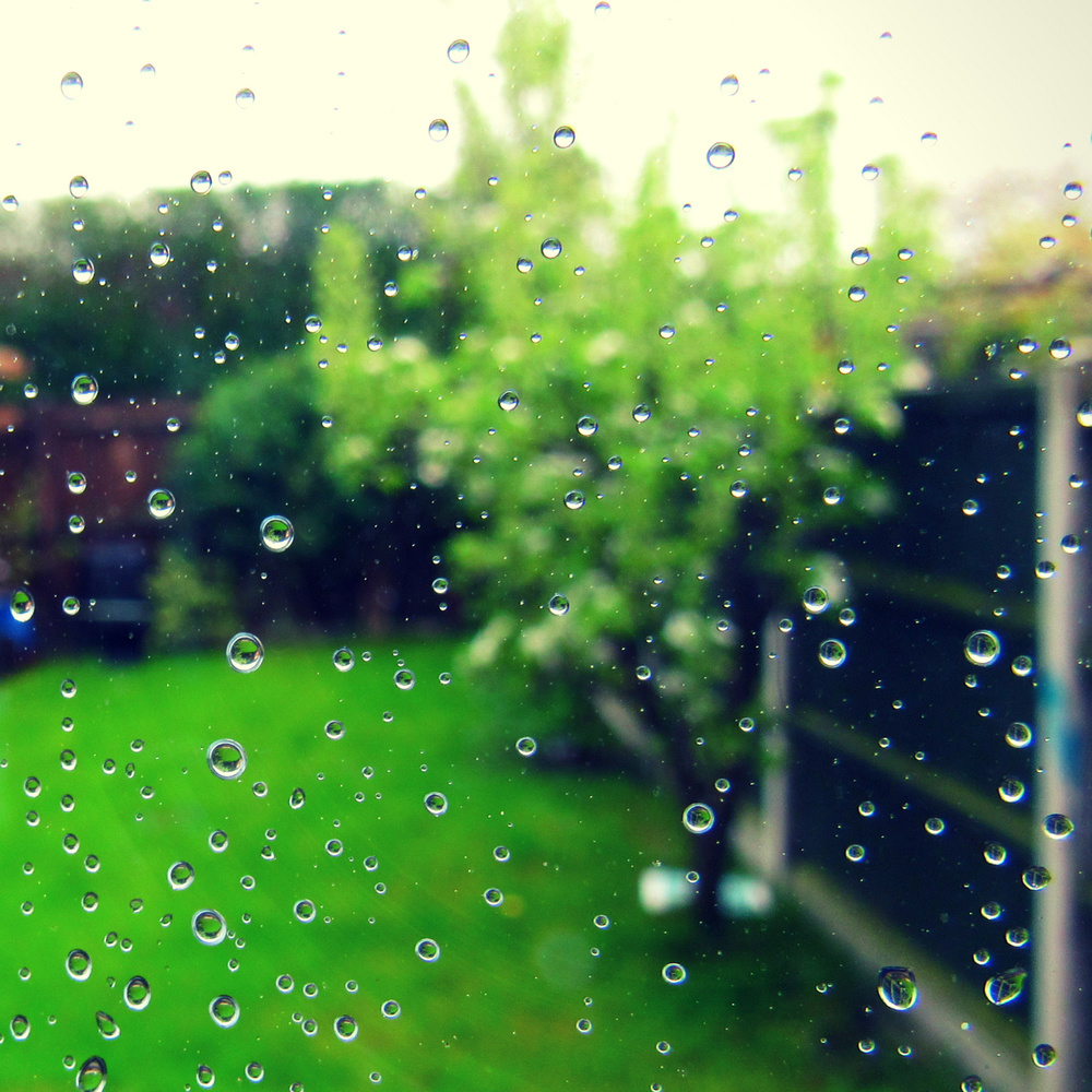 Rain, Pt. 4