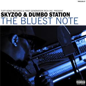 ดาวน์โหลดและฟังเพลง Good Enough Reasons (Explicit) พร้อมเนื้อเพลงจาก Skyzoo