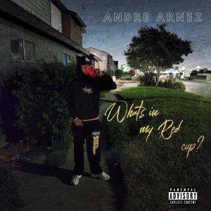 Listen to Oh My My My (OMMM) song with lyrics from Andre Arnez