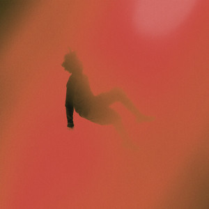Album RUMBLE RUMBLE from Torii Wolf