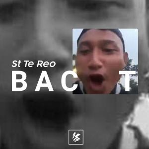 收聽St Te Reo的Bacot (Original Mix)歌詞歌曲