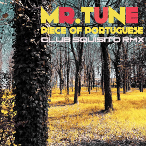 Listen to Piece of Portuguese (Club Squisito Remix) song with lyrics from Mr.Tune