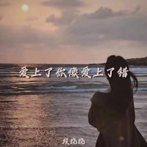 Album 爱上了你像爱上了错 from 段晓晓