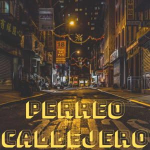 Listen to Perreo Salvaje song with lyrics from Perreo