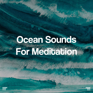 Ocean Waves for Sleep的专辑"!!! Ocean Sounds For Meditation And Yoga!!!"