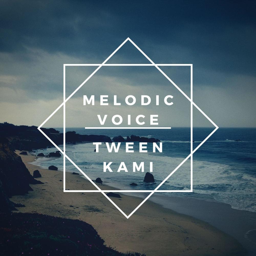 Melodic voice (Radio Edit)