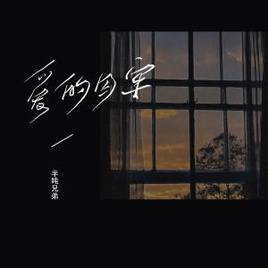 Listen to 爱的囚牢 song with lyrics from 老恋
