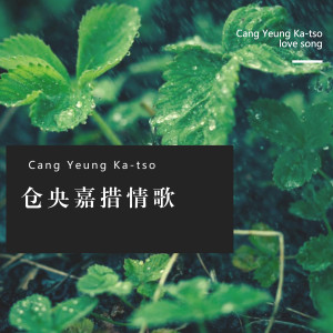 收听刘清沨的仓央嘉措情歌歌词歌曲