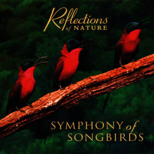 ดาวน์โหลดและฟังเพลง Voices พร้อมเนื้อเพลงจาก Michael Stanton