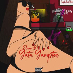 ดาวน์โหลดและฟังเพลง Gata Gangster (Explicit) พร้อมเนื้อเพลงจาก Eleven B