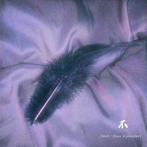Listen to 不 No (完整版) song with lyrics from OKM"Zero Kilometer"