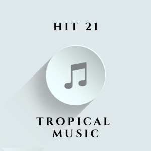 Album Hit 21 from Tropical Music