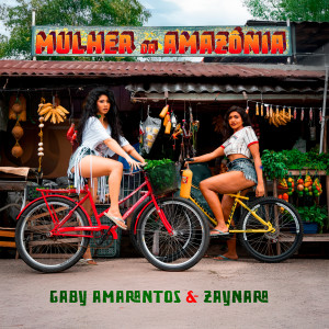 ดาวน์โหลดและฟังเพลง Mulher da Amazônia พร้อมเนื้อเพลงจาก Gaby Amarantos