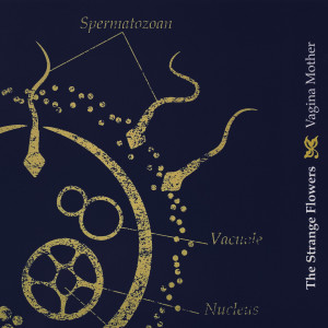 ดาวน์โหลดและฟังเพลง Seven Year Old Poets พร้อมเนื้อเพลงจาก The Strange Flowers