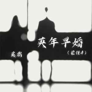 Album 英年早婚(前任4) from 奚鼎