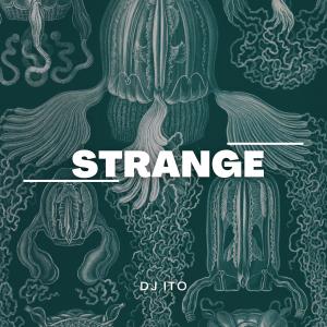 收聽DJ ITO的strange歌詞歌曲