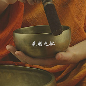 收聽艾米希瑜珈之音的靜心安寧歌詞歌曲