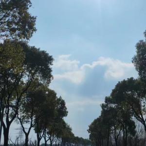 叶梦的专辑梦梦配音秀