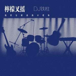 Album 怎么说我不爱你 (DJ享那些愉悦) from DJ铁柱