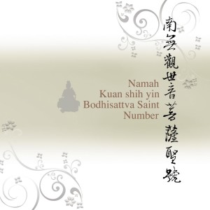 收聽王珺的南無觀世音菩薩聖號 (美聲佛韻版 8)歌詞歌曲