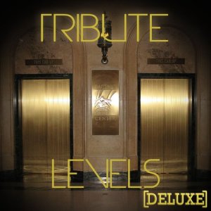 ดาวน์โหลดและฟังเพลง Levels พร้อมเนื้อเพลงจาก Team Ibiza
