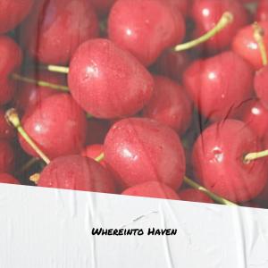收听Maario Fier的Whereinto Haven歌词歌曲