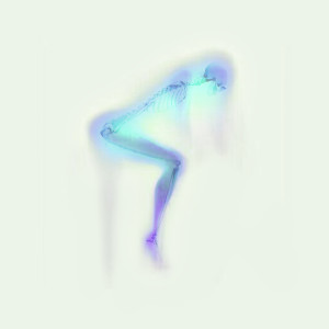 Album Le coeur et le corps from NYMA