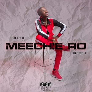 Listen to Let Me Hit It Remix (Explicit) song with lyrics from Meechie Ro