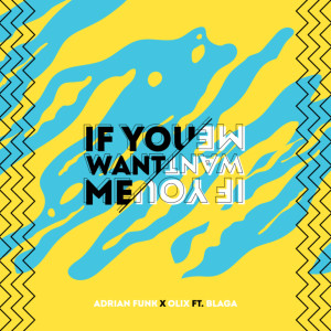 Listen to If You Want Me song with lyrics from Adrian Funk