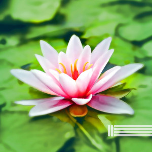 koshi的專輯Koshi Relaxation: Ignis