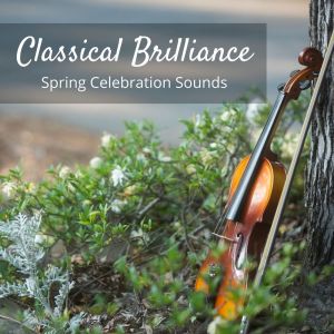 Album Classical Brilliance: Spring Celebration Sounds from 