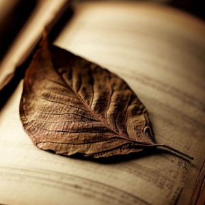 Listen to No.2, Album Leaf song with lyrics from Edvard Grieg