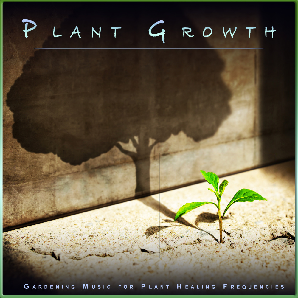 Calm Plant Music