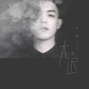 收聽王茗的太遲 (DJ沈念)歌詞歌曲