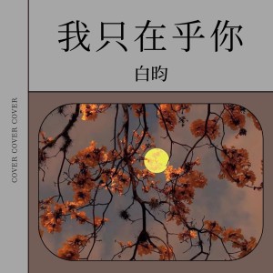 Album 我只在乎你 from 