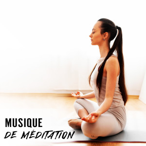 收听Zone de la Musique Relaxante的Le nuit sereine歌词歌曲