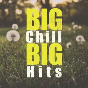 อัลบัม BIG Chill BIG Hits ศิลปิน รวมศิลปินแกรมมี่