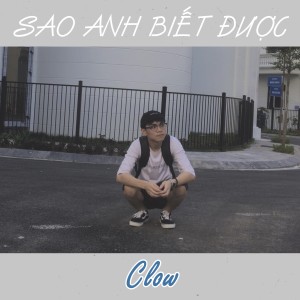 Dengarkan Sao Anh Biết Được lagu dari Clow dengan lirik