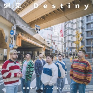 Album 遇见｜Destiny from 熊猫堂ProducePandas